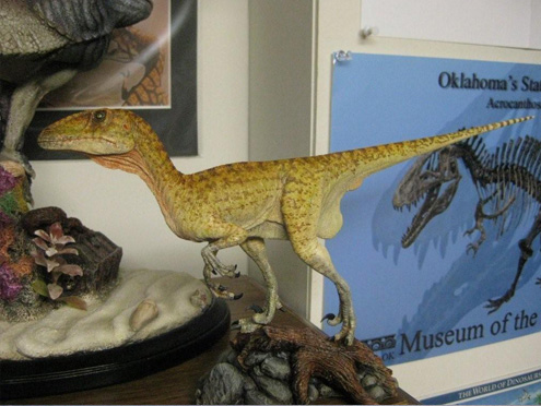 Cretaceous Creations of America Build-Up