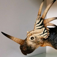 styracosaurus