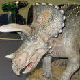 Triceratops Maximus